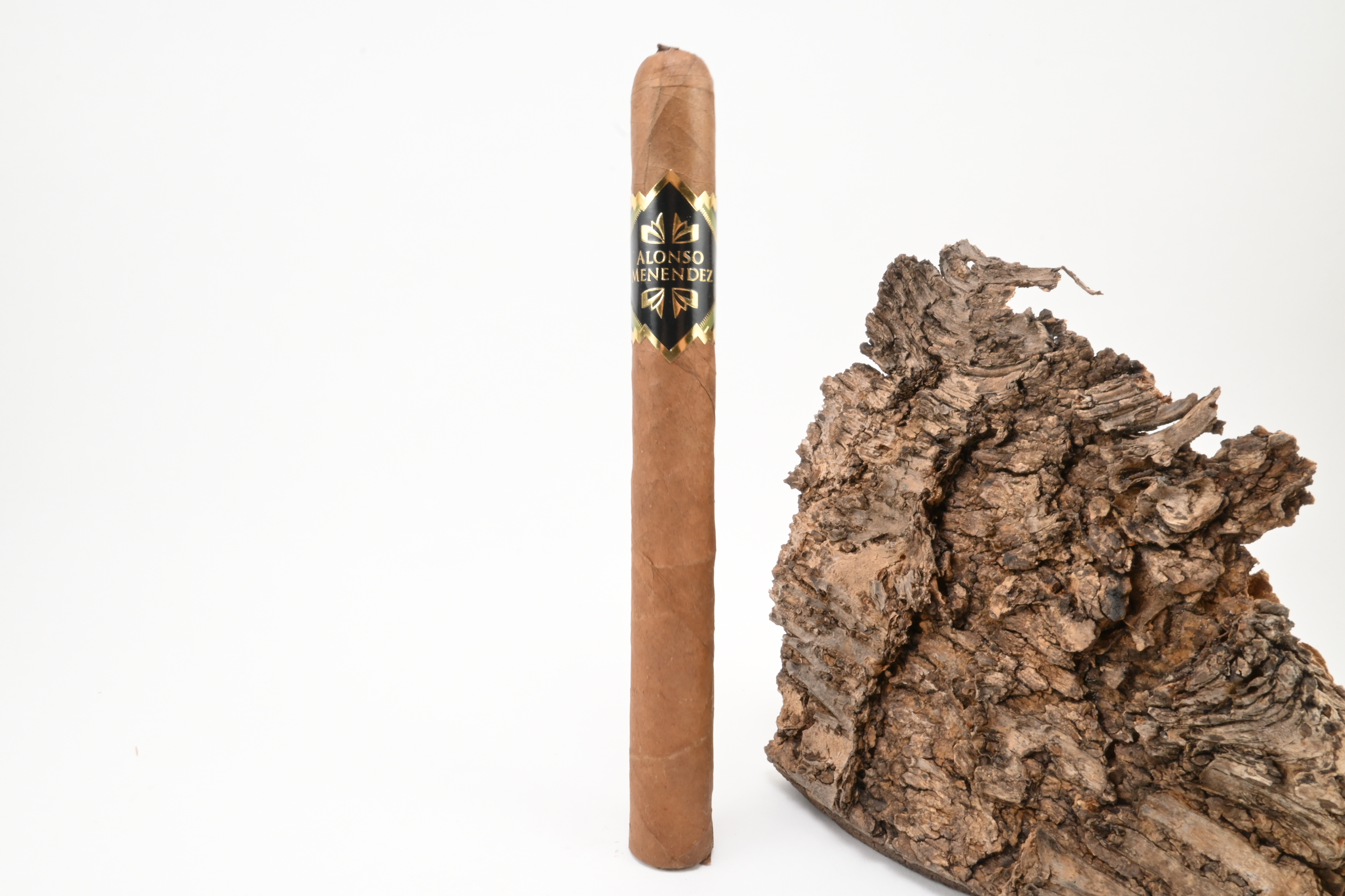 Alonso Menendez Churchill