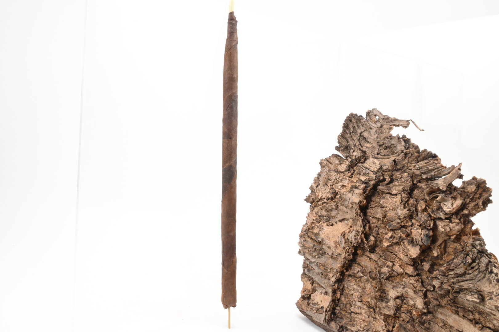 Villiger_Virginia_4_1