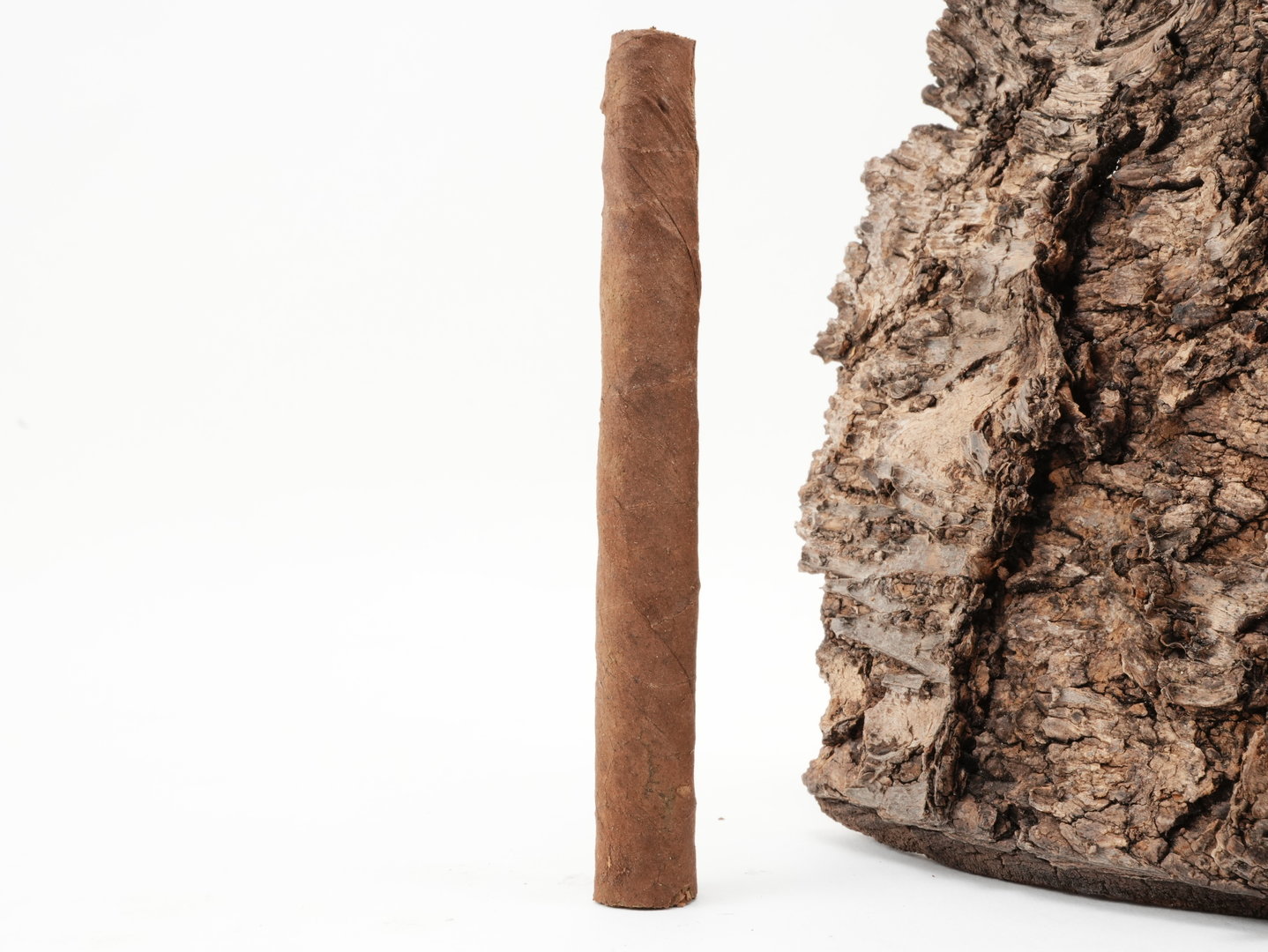 Brazil_Truellerie_Bajazzo_Brazil_4_1