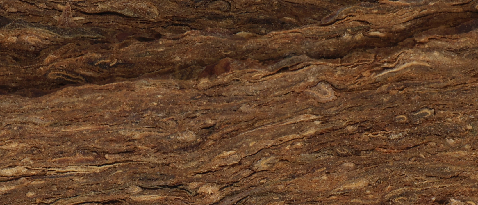 PesseCanoe_blue_Pearl_tobacco