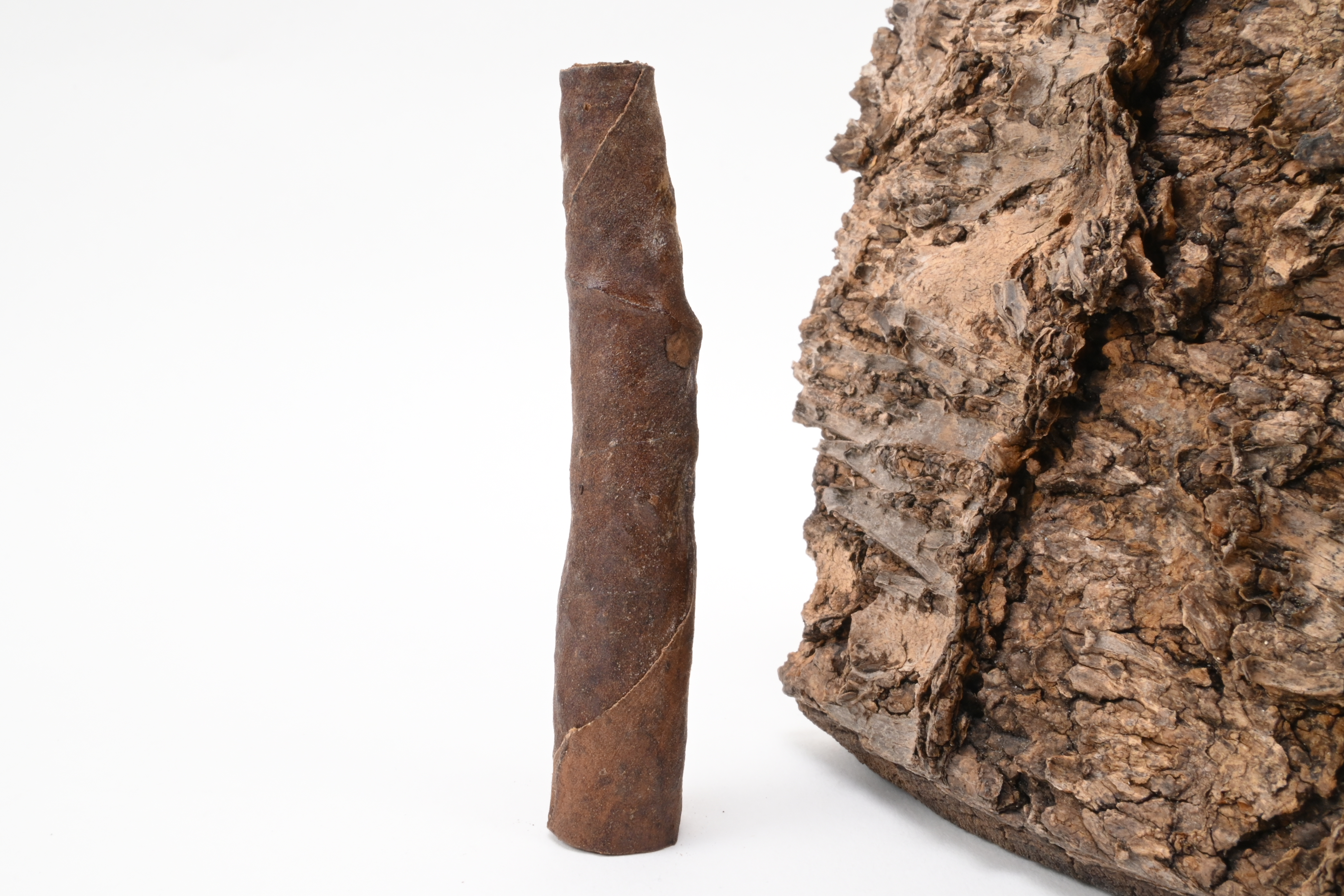 Toscanello 100% Tabacco