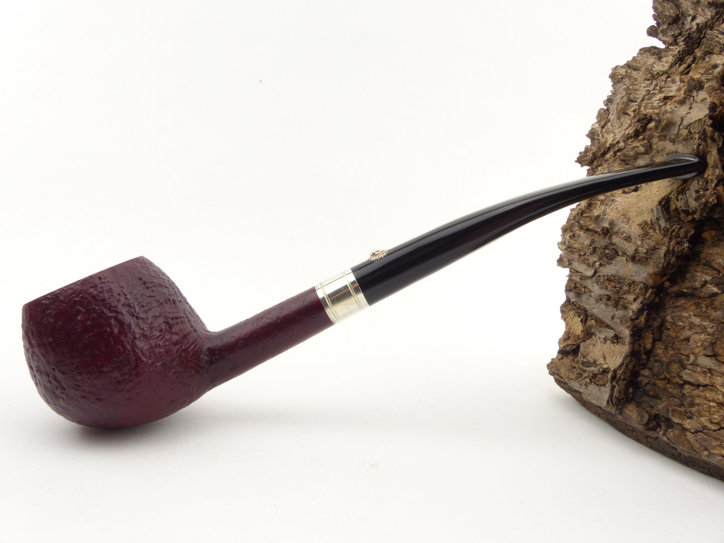 barling_edward_fossil_1829_2