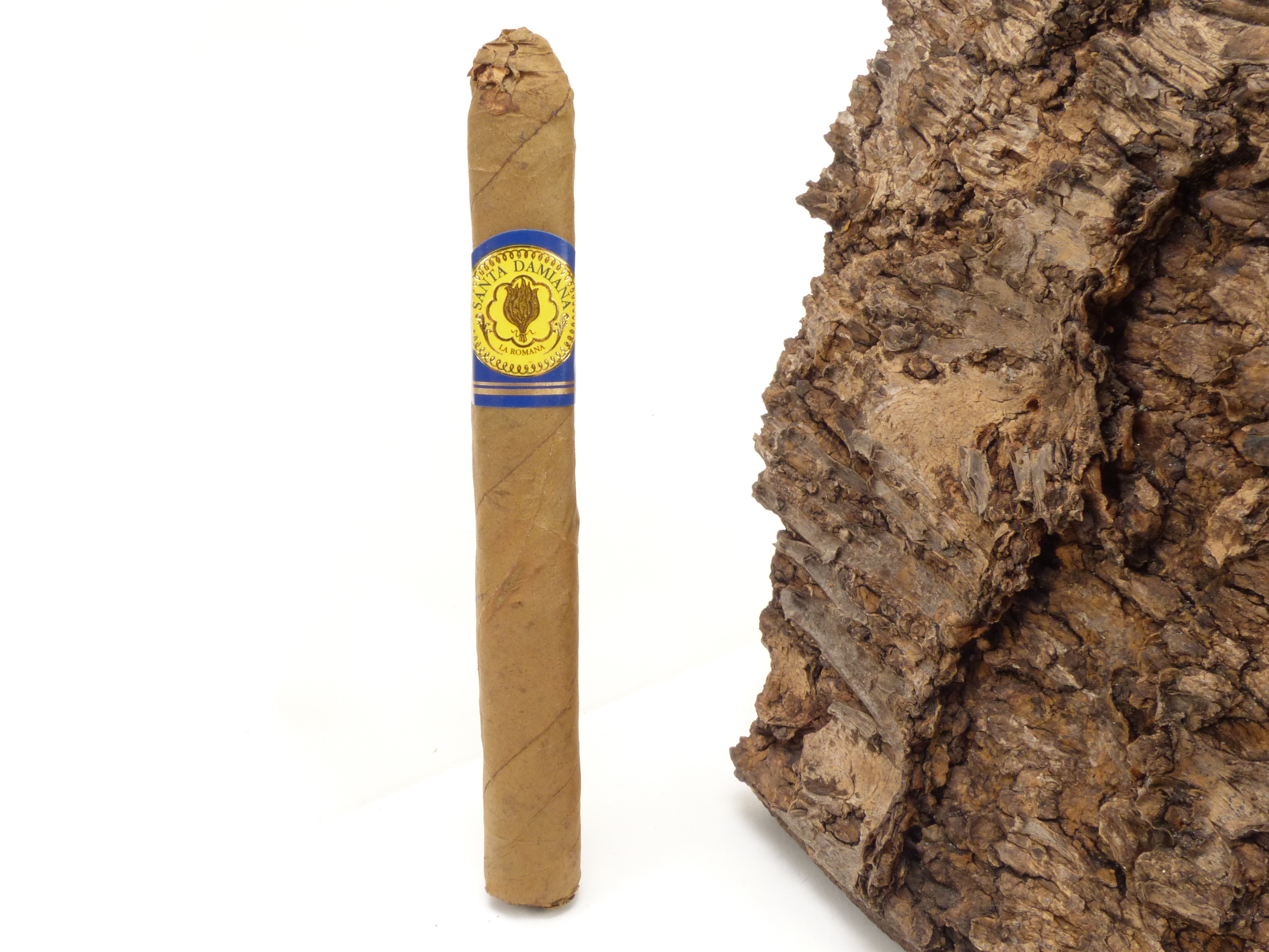 Santa Damiana Chicos