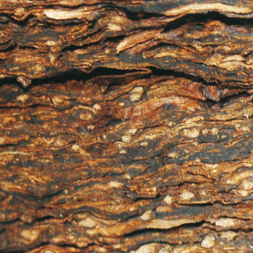 Solani_Silver_Flake_660