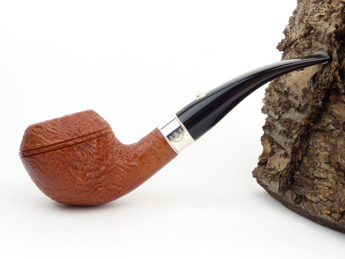 barling_benjamin_fossil_1819_2