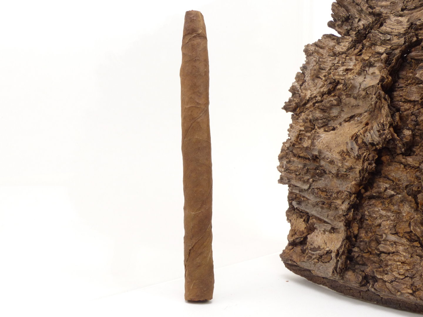 Fabiolas_Senoritas_3_1