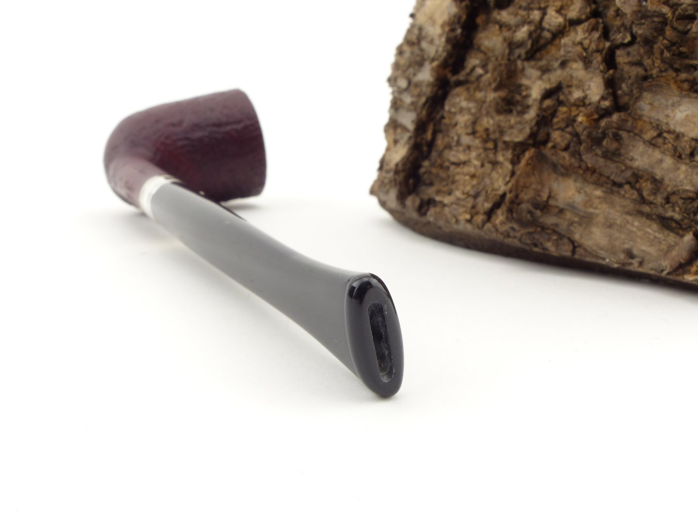 barling_edward_fossil_1827_4