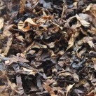 Dunhill_BB1938_Tabakbild