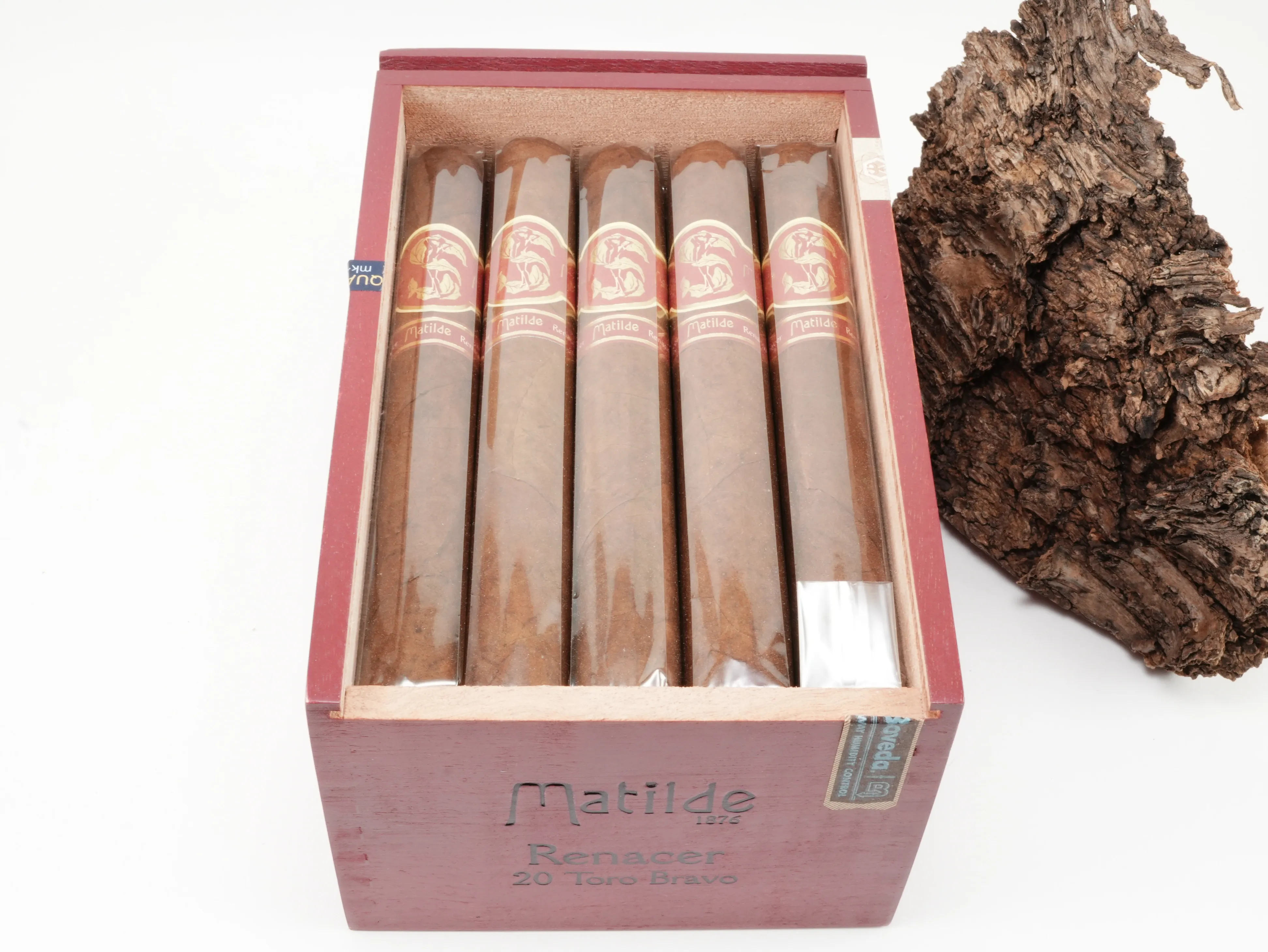 Matilde Renacer Toro Bravo