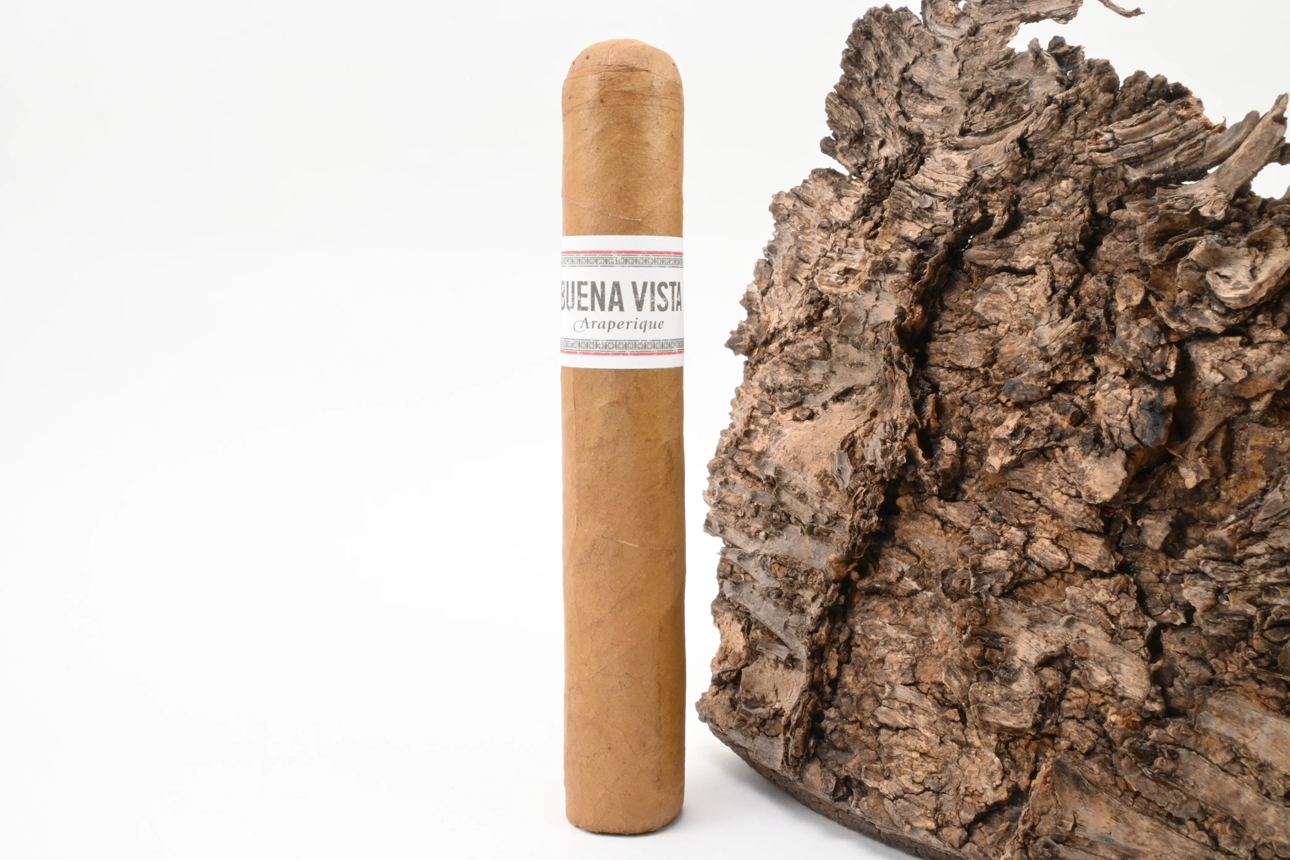 Buena Vista Araperique Robusto – Produktbild 3