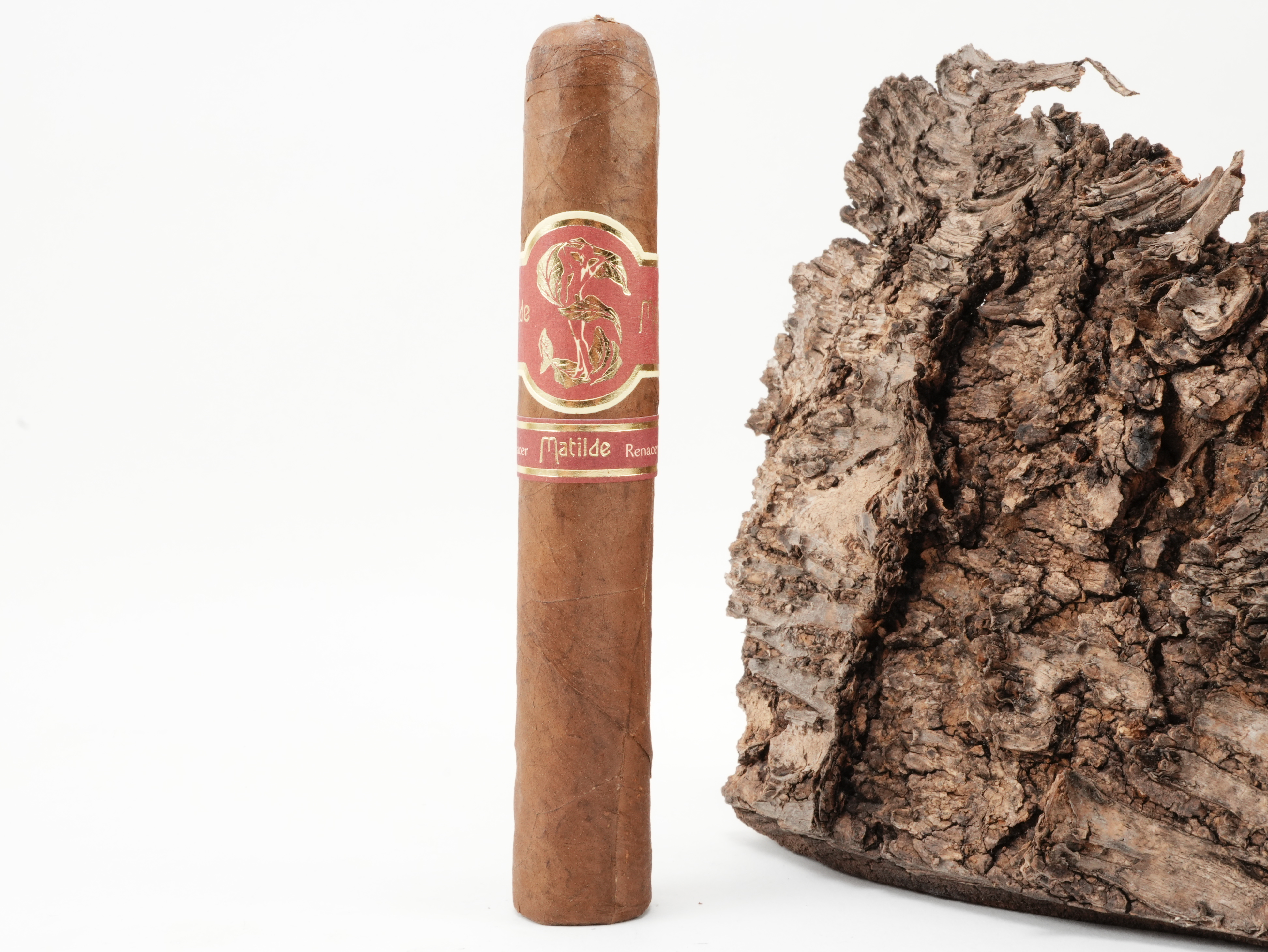 Matilde Renacer Robusto