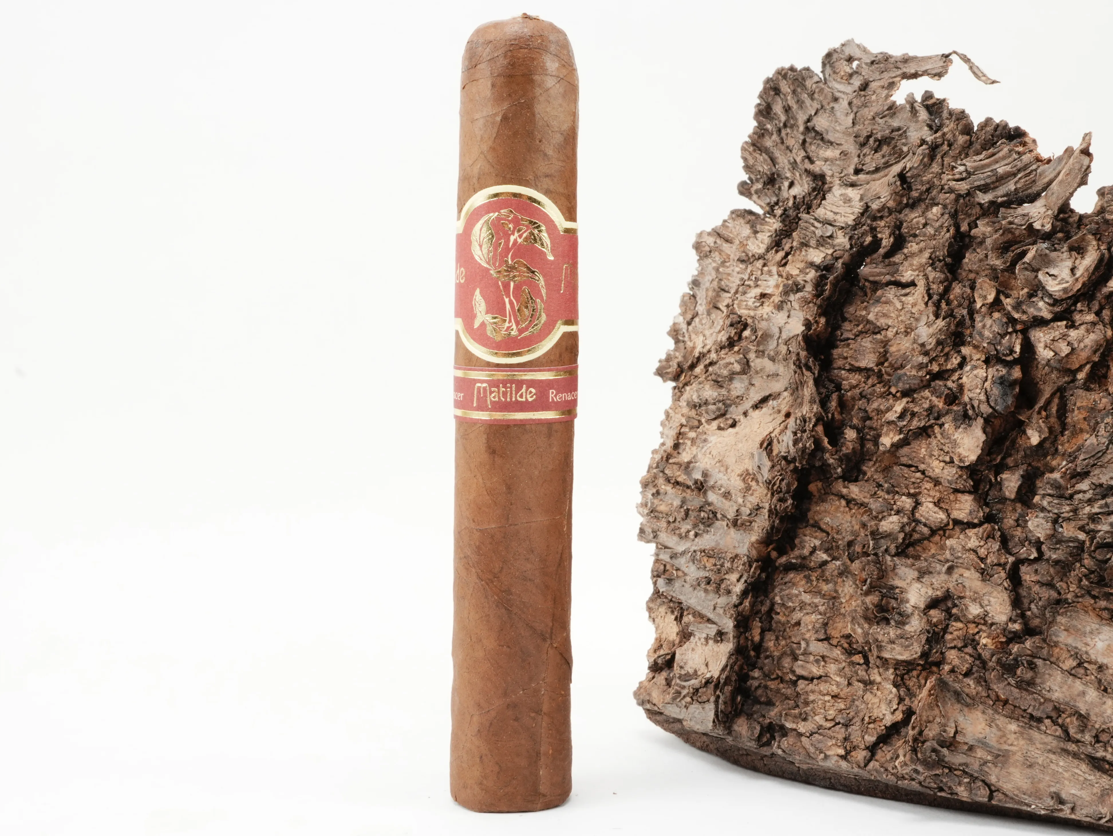 Matilde Renacer Robusto
