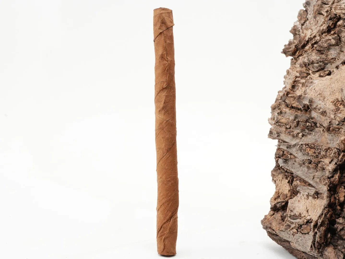 partagas_mini_4