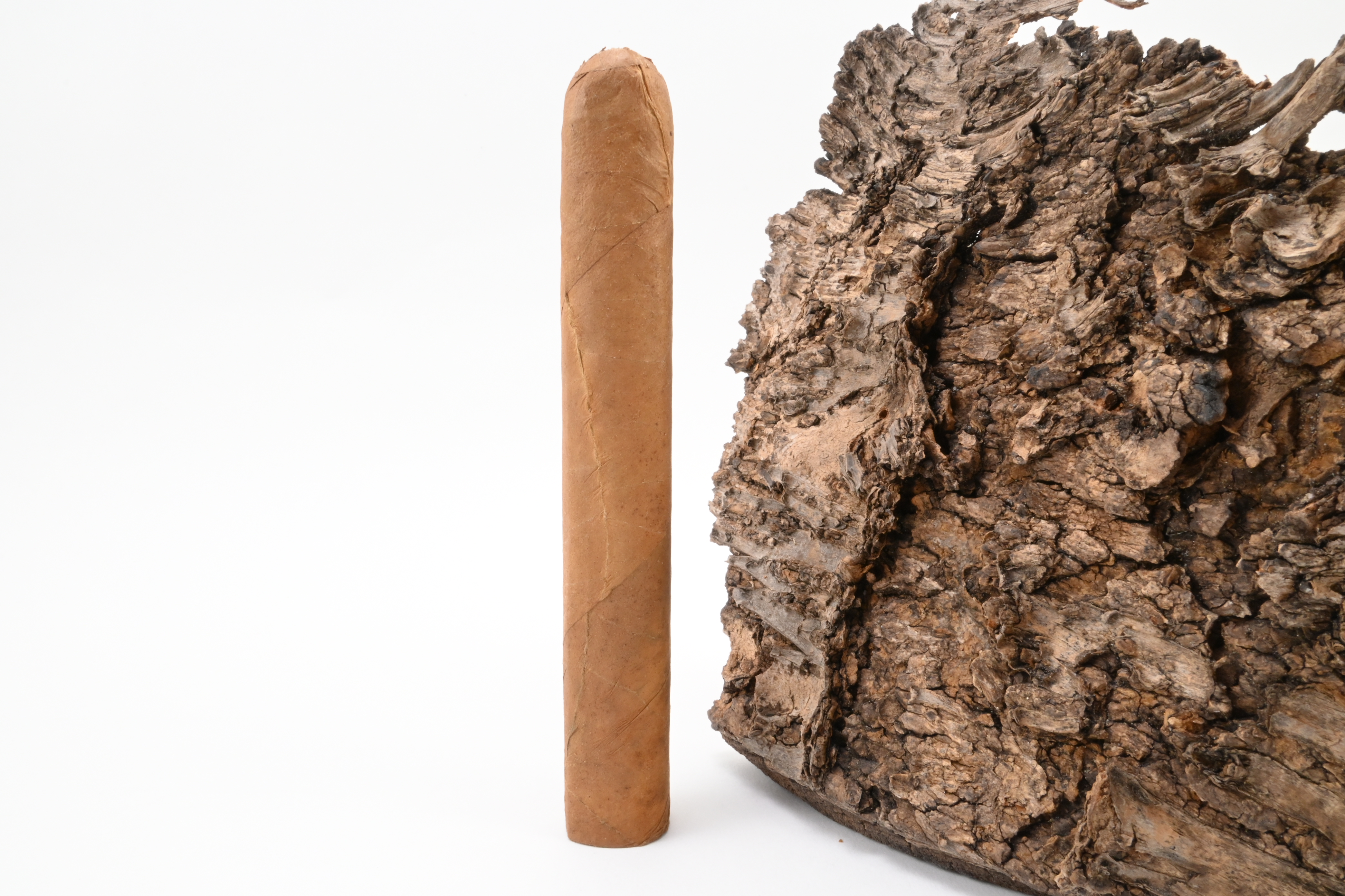 Tropenschatz Sumatra Corona No. 421