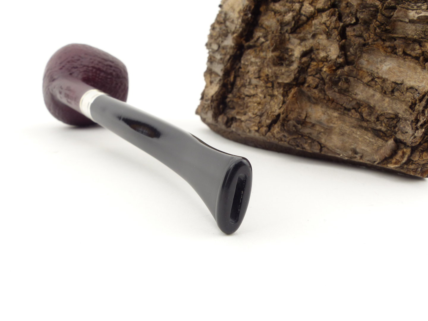 barling_edward_fossil_1829_4