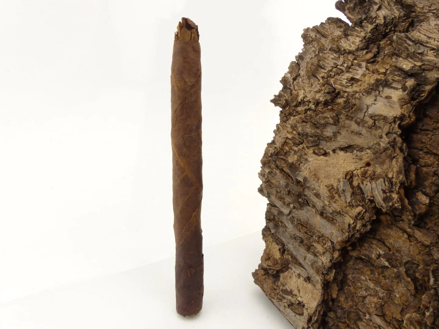 backwoods_blue_3