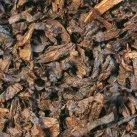 rattrays_black_virginia_3
