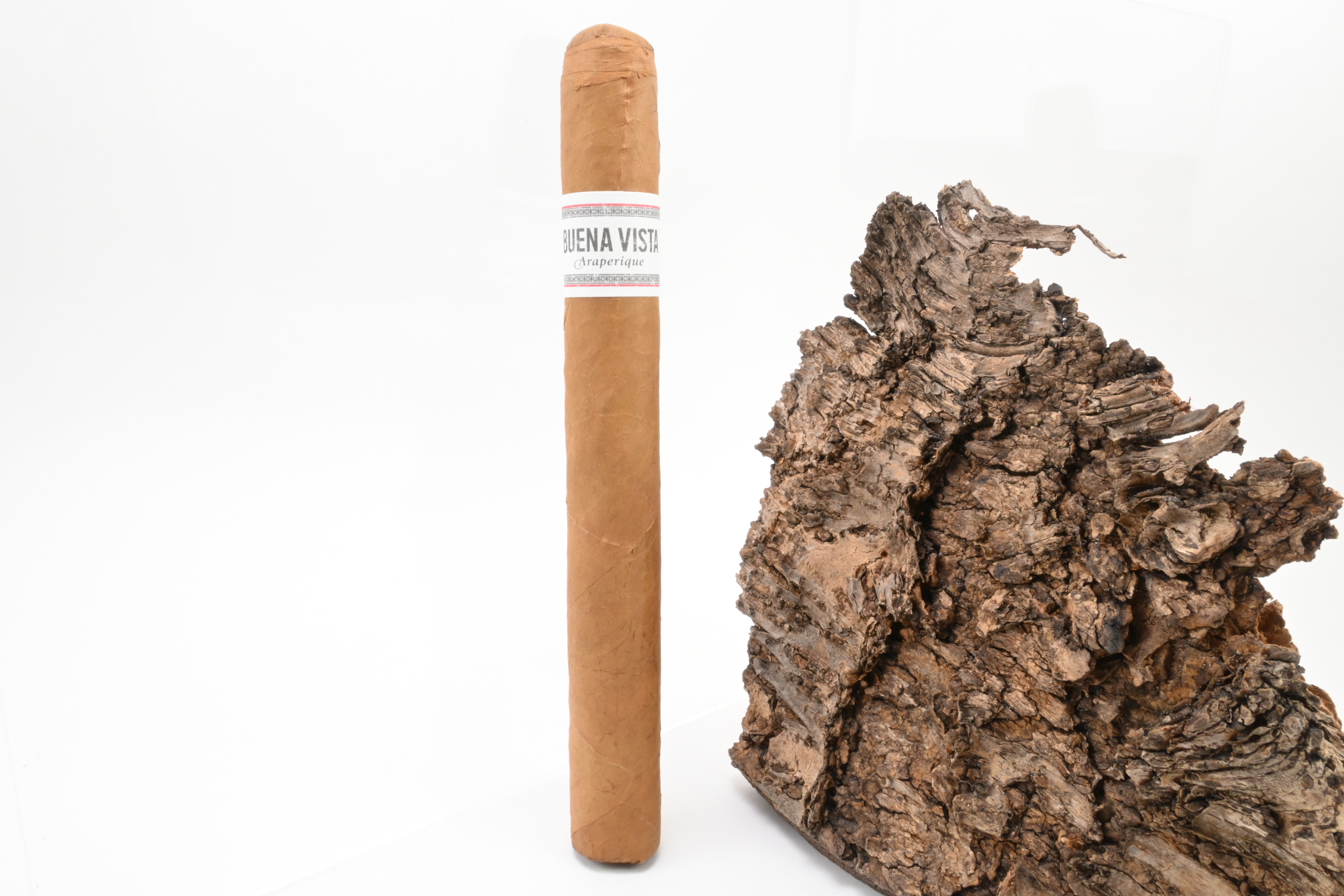 Buena Vista Araperique Churchill